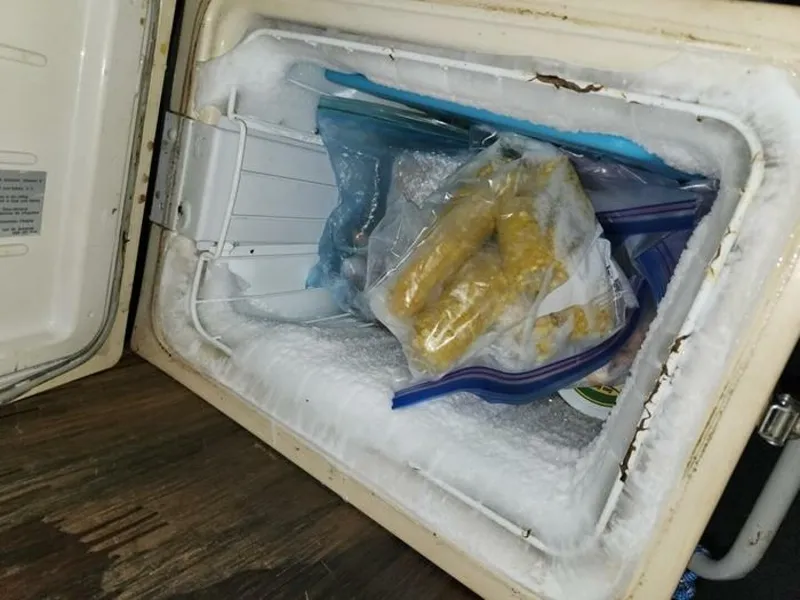 Slide: The Image of Morgan MORGAN 60 1983 - 5163939