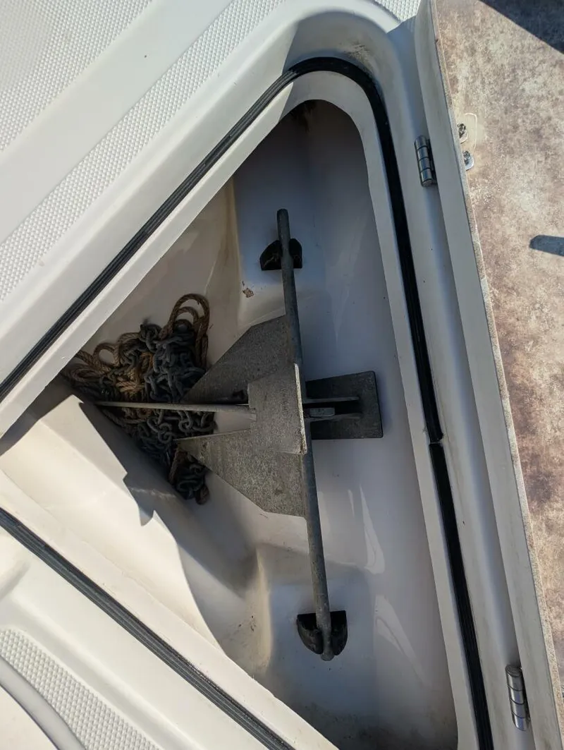 Slide: The Image of Sea Fox 256 2013 - 5805422