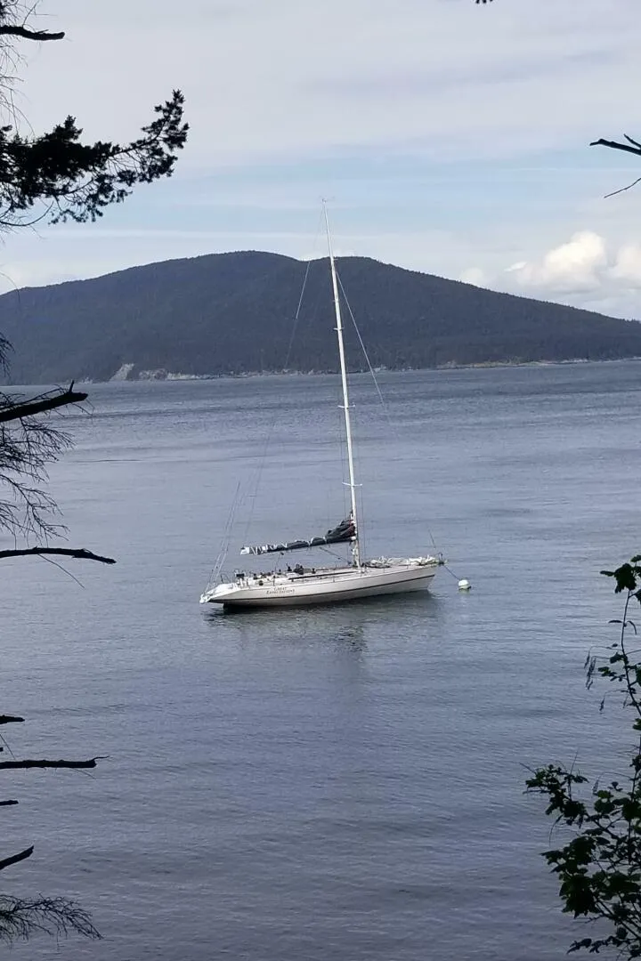 Slide: The Image of Farr 50 1985 - 5191977