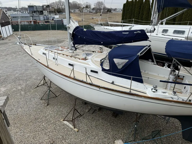 Slide: The Image of Tartan 37 1979 - 5189804