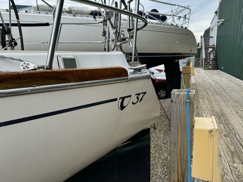 Slide: The Image of Tartan 37 1979 - 5189807