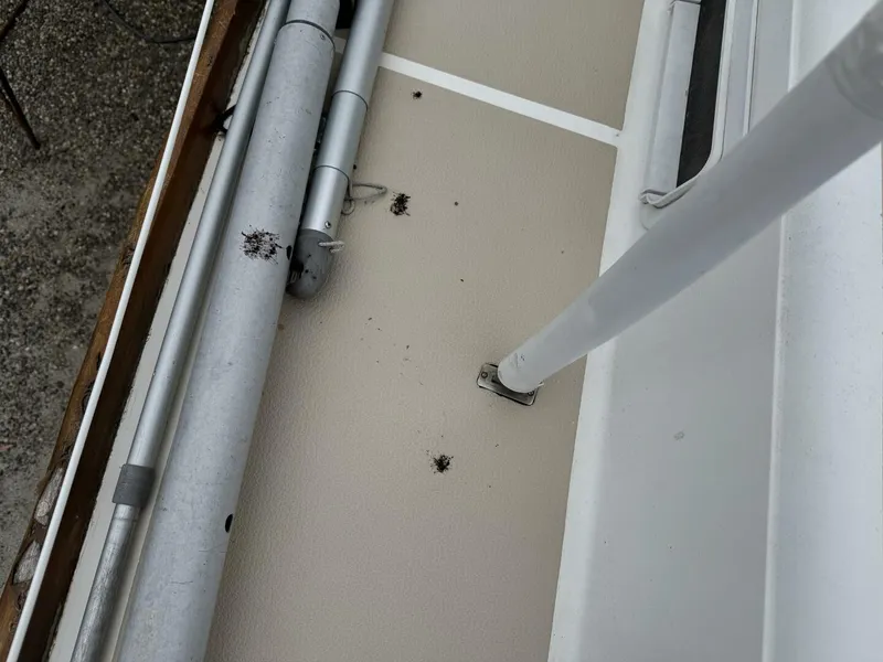 Slide: The Image of Tartan 37 1979 - 5189839