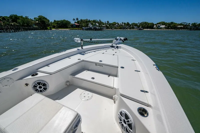 Slide: The Image of Blackjack 256 Bay 2023 - 5172134