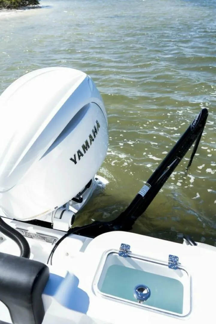 Slide: The Image of Edgewater 208CC 2025 - 5172402