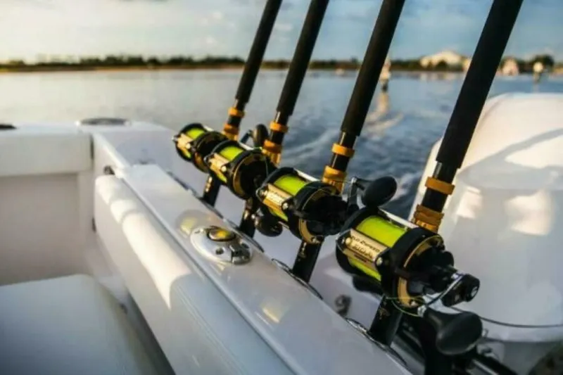 Slide: The Image of Edgewater 230CC 2025 - 5172417