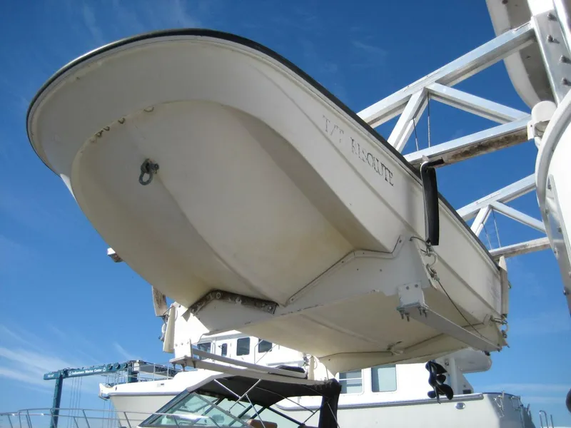 Slide: The Image of Custom Pilgrim Tribute 1987 - 5175213