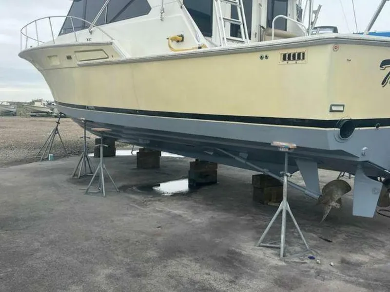 Slide: The Image of Bertram Convertible 1980 - 5178426