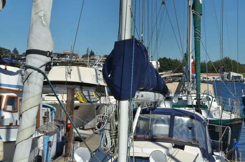 Slide: The Image of Saga 35 2002 - 5192853