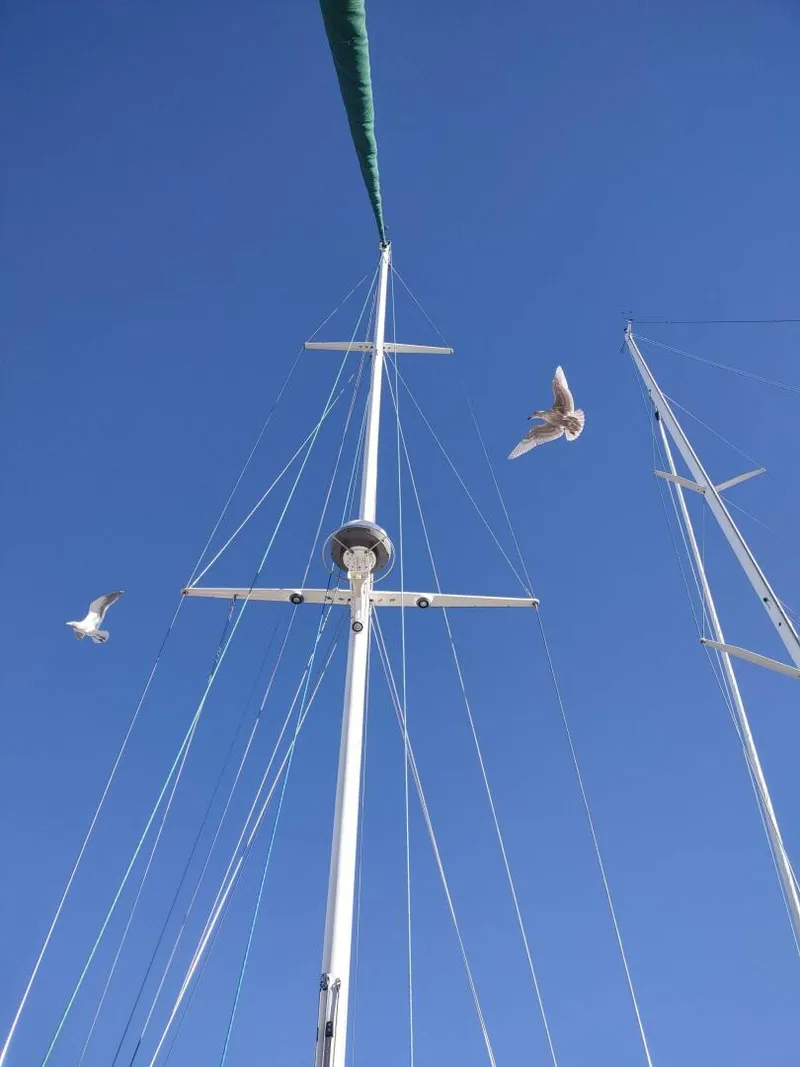 Slide: The Image of Hinckley Sou'wester 59 1997 - 5193311