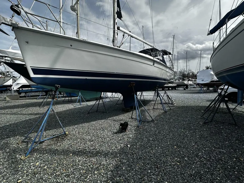 The Image of Hunter 33 2004 - 5187723