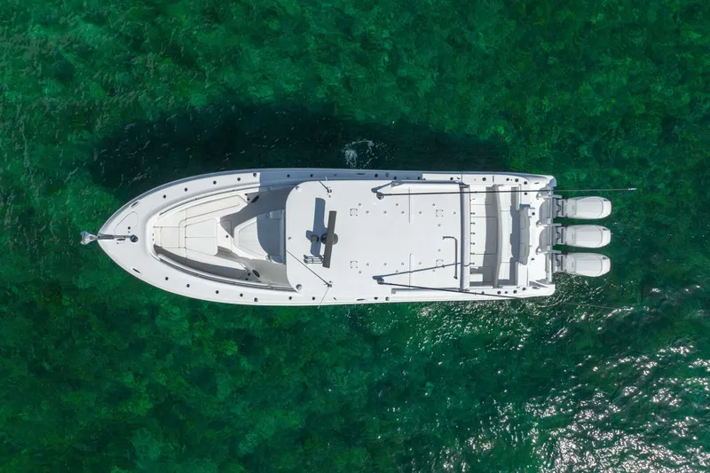 Slide: The Image of HCB lujo 2024 - 5187908