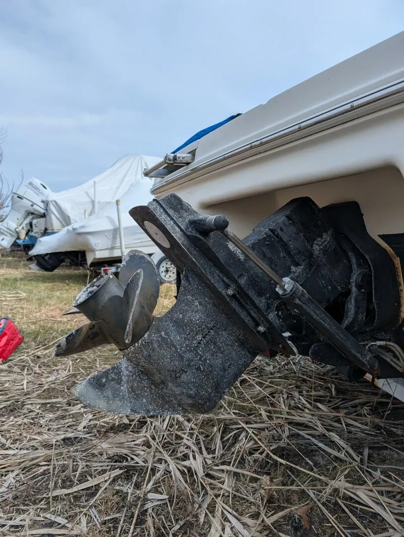 Slide: The Image of Sea_ray_210_star_engine_1 - 5195630