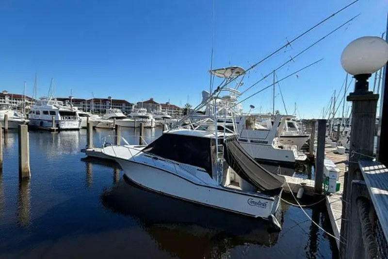 The Image of Carolina 35 2001 - 5195265