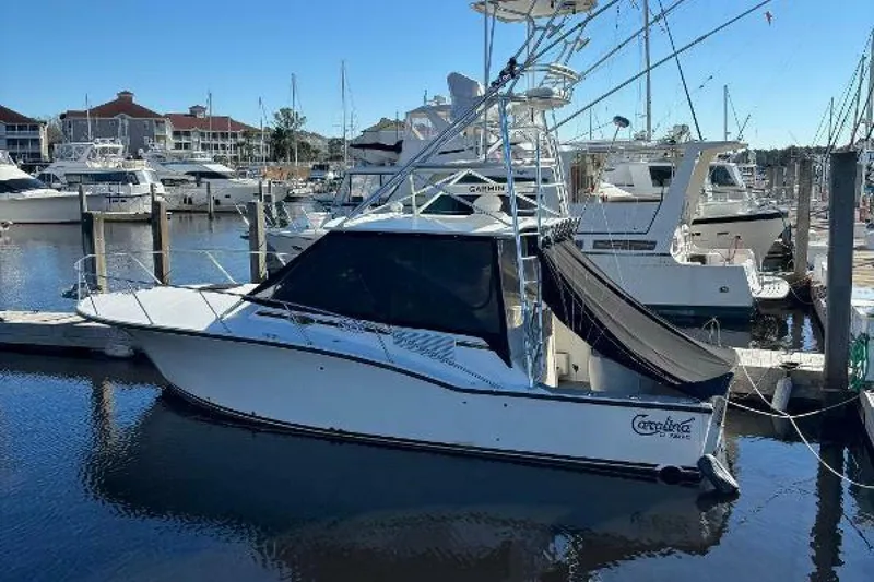 Slide: The Image of Carolina 35 2001 - 5195277