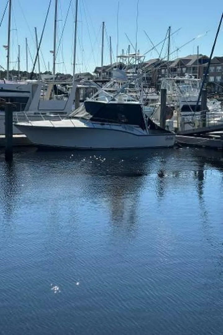 Slide: The Image of Carolina 35 2001 - 5195278