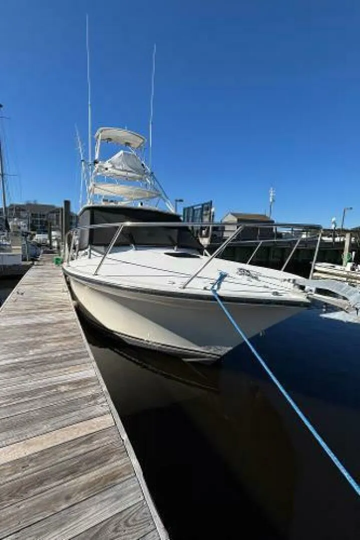 Slide: The Image of Carolina 35 2001 - 5195281