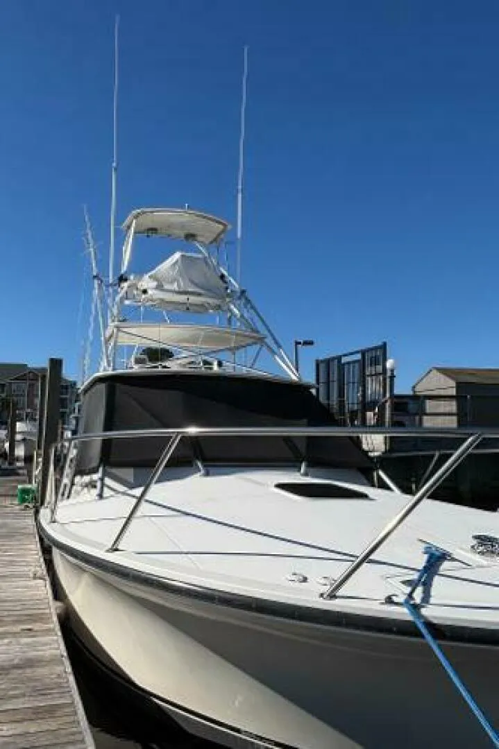 Slide: The Image of Carolina 35 2001 - 5195282