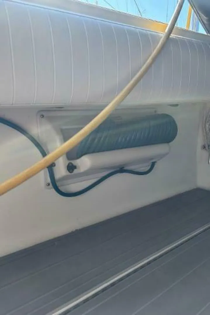 Slide: The Image of Carolina 35 2001 - 5195294