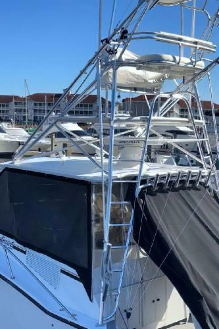 Slide: The Image of Carolina 35 2001 - 5195268