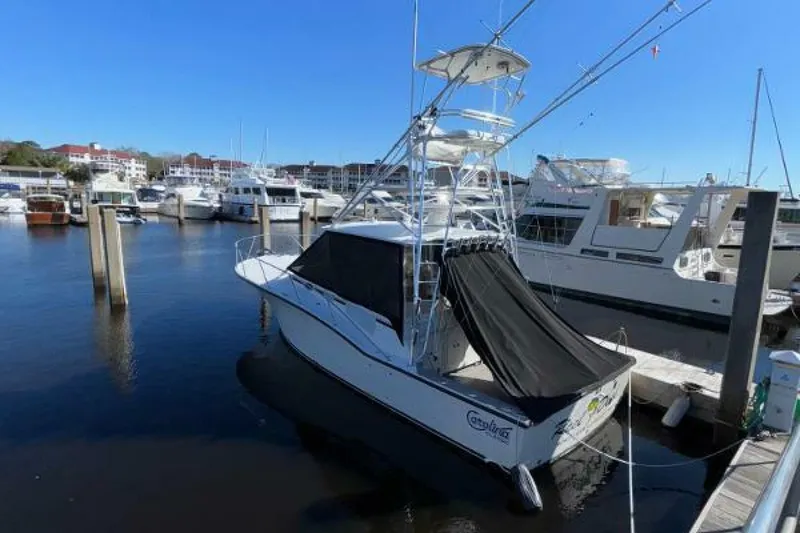 Slide: The Image of Carolina 35 2001 - 5195313