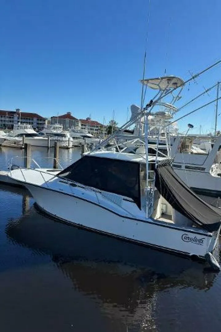 Slide: The Image of Carolina 35 2001 - 5195270