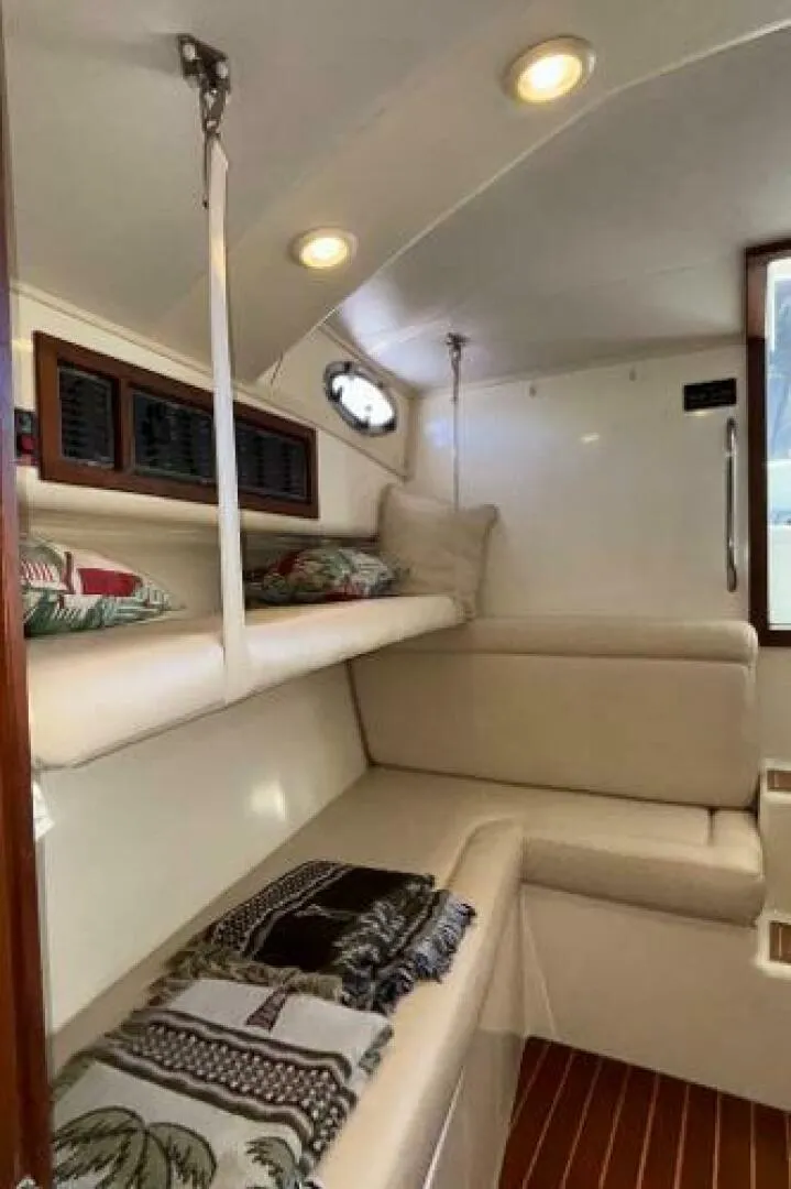 Slide: The Image of Carolina 35 2001 - 5195327