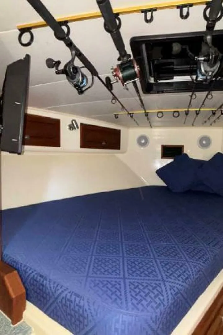 Slide: The Image of Carolina 35 2001 - 5195330