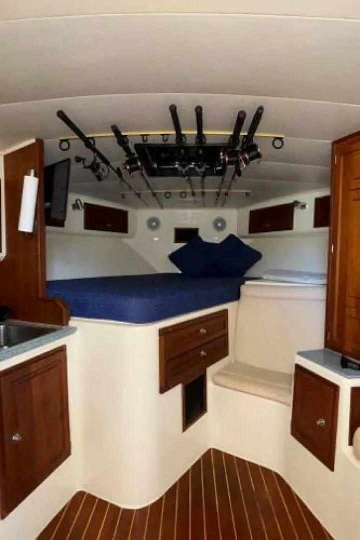 Slide: The Image of Carolina 35 2001 - 5195331