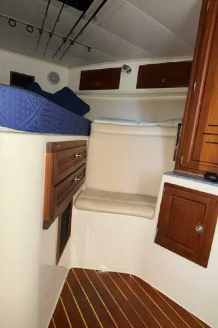 Slide: The Image of Carolina 35 2001 - 5195332