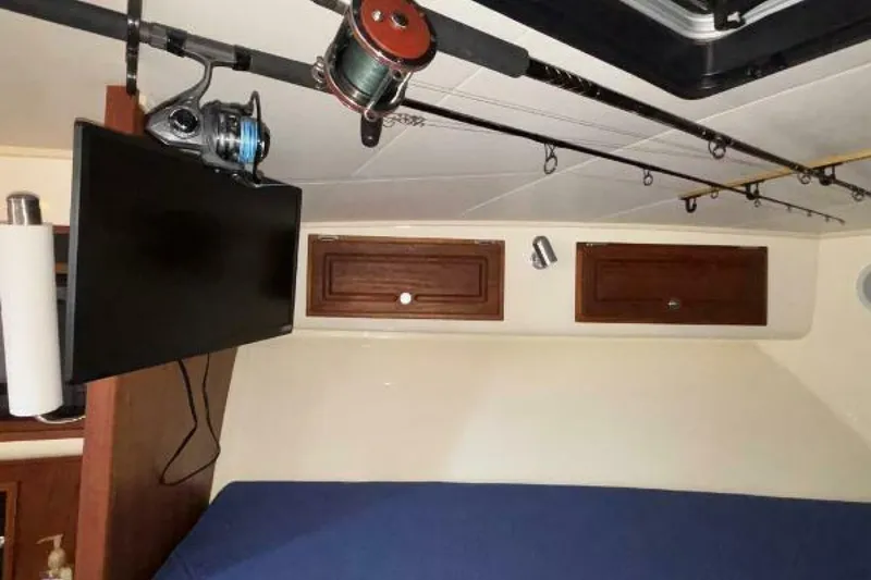 Slide: The Image of Carolina 35 2001 - 5195336