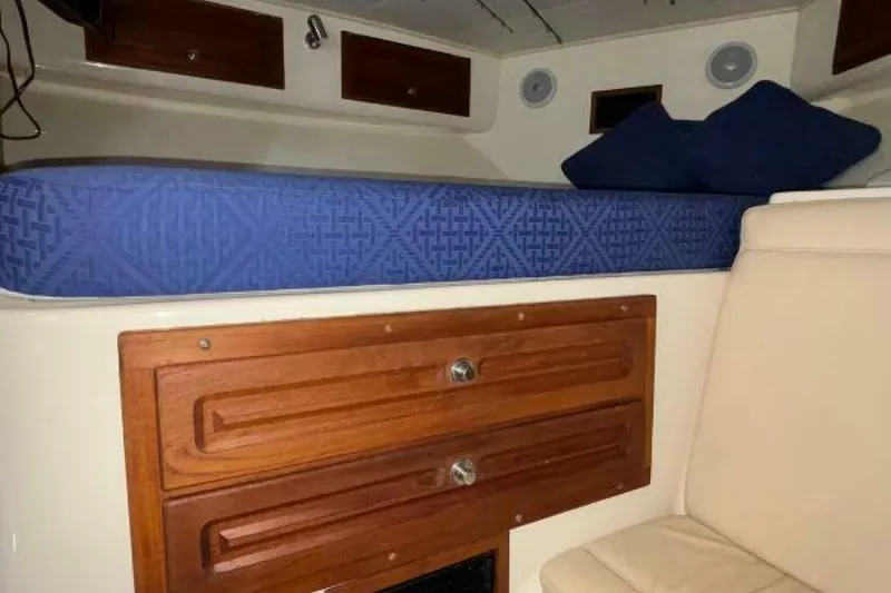 Slide: The Image of Carolina 35 2001 - 5195339