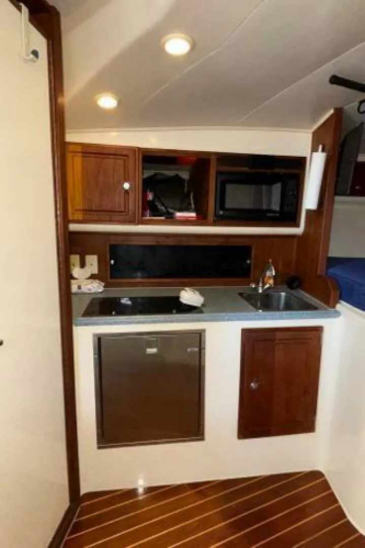 Slide: The Image of Carolina 35 2001 - 5195343