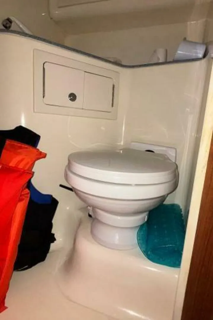 Slide: The Image of Carolina 35 2001 - 5195351