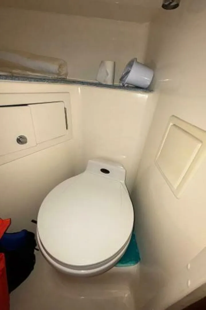 Slide: The Image of Carolina 35 2001 - 5195352