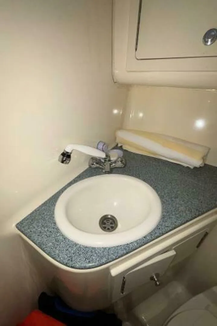 Slide: The Image of Carolina 35 2001 - 5195353