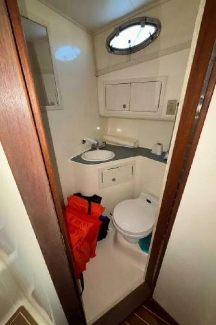 Slide: The Image of Carolina 35 2001 - 5195354