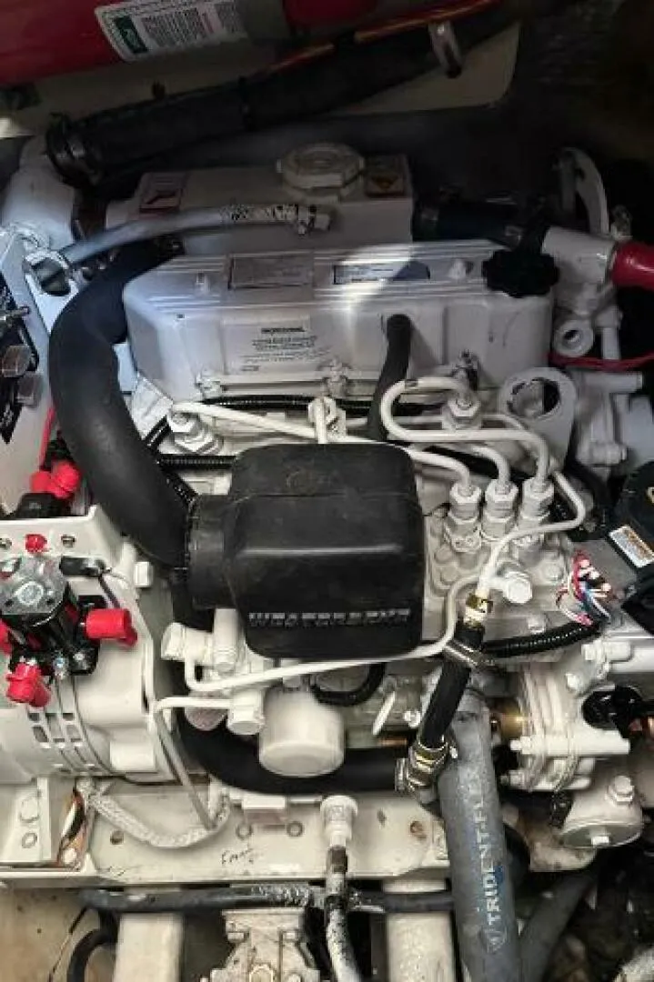 Slide: The Image of Carolina 35 2001 - 5195358