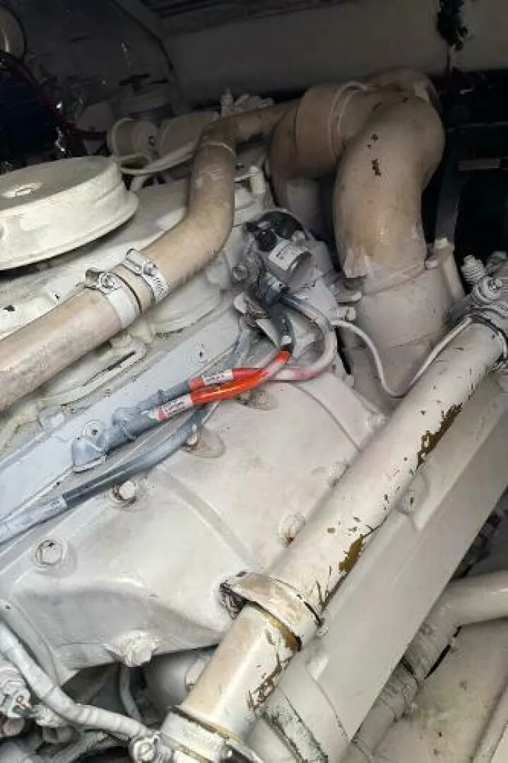 Slide: The Image of Carolina 35 2001 - 5195359