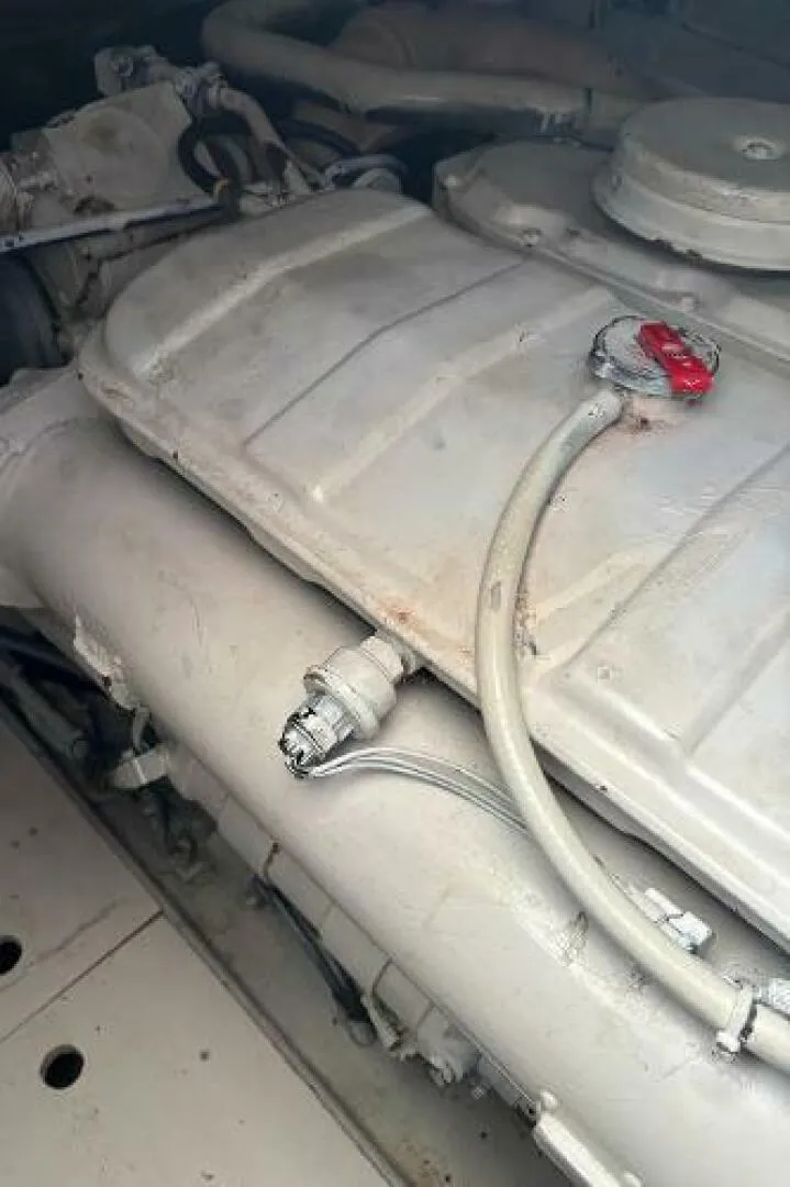 Slide: The Image of Carolina 35 2001 - 5195362