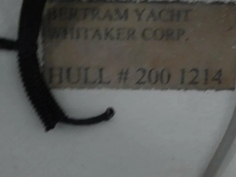 Slide: The Image of Bertram 20 1969 - 5196359