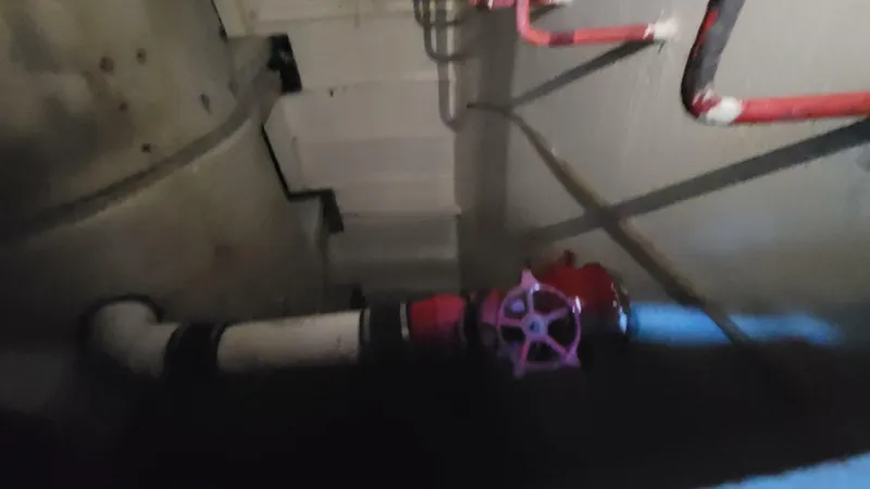 Slide: The Image of Commercial Vinette 99 Paddle Wheel 1984 - 5220859