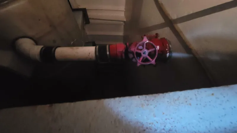 Slide: The Image of Commercial Vinette 99 Paddle Wheel 1984 - 5220860