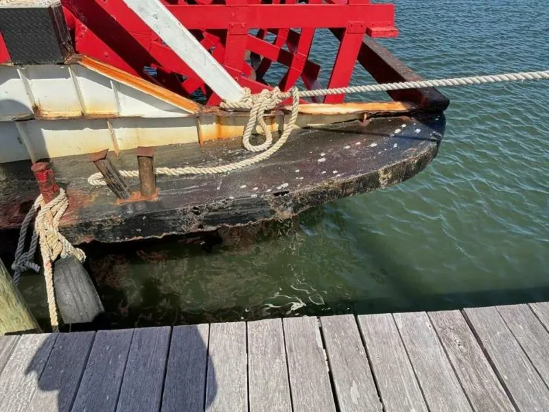 Slide: The Image of Commercial Vinette 99 Paddle Wheel 1984 - 5229042