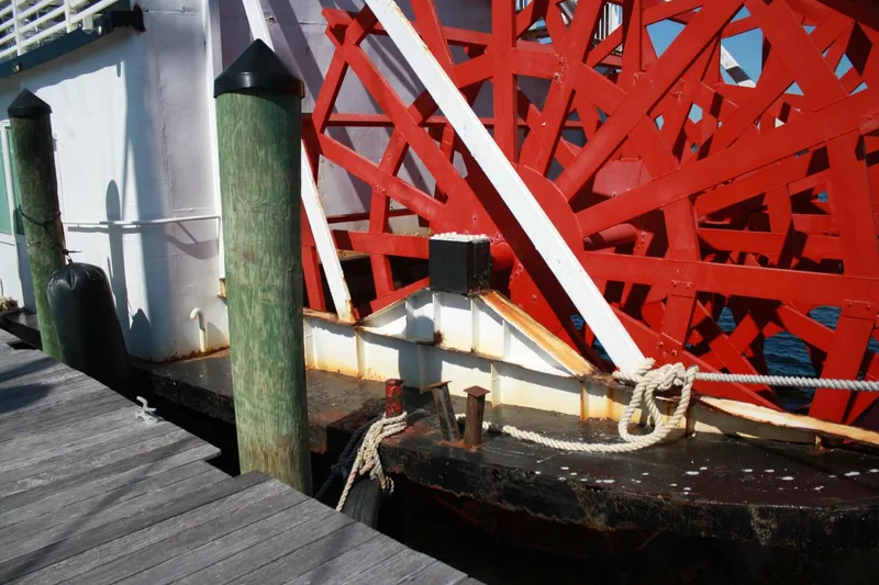 Slide: The Image of Custom Vinette 99 Paddle Wheel 1984 - 5218172