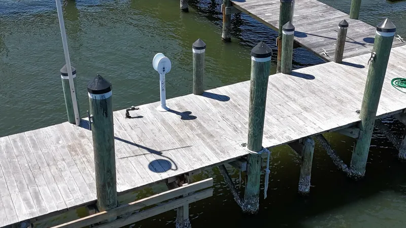 Slide: The Image of Custom Vinette 99 Paddle Wheel 1984 - 5222966