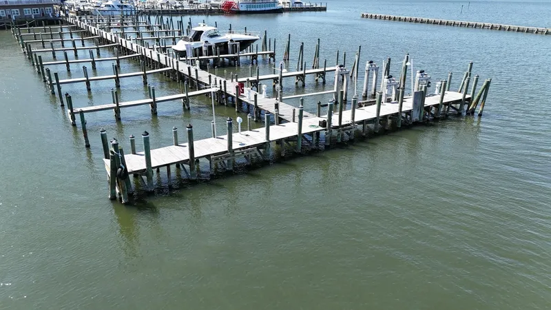 Slide: The Image of Custom Vinette 99 Paddle Wheel 1984 - 5222965