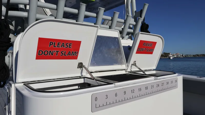 Slide: The Image of Freeman 47 2021 - 5197189