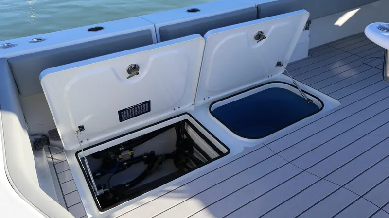 Slide: The Image of Freeman 47 2021 - 5197217