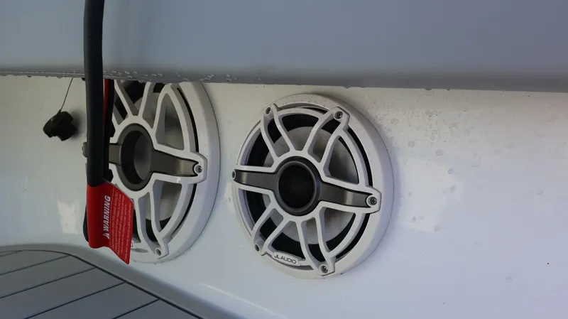 Slide: The Image of Freeman 47 2021 - 5197231