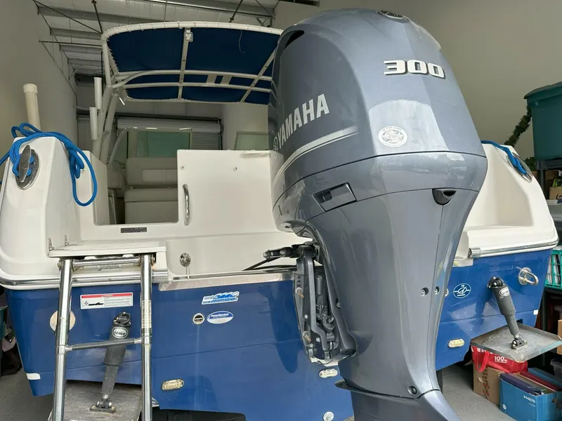 Slide: The Image of Sailfish 275 DC 2015 - 5222008